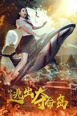 国网安全浏览器