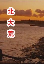 96免费精品视频在线