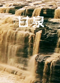 91网址在线观看