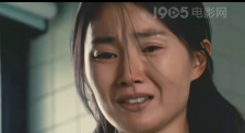 完美的妻子