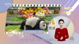 亚洲精品国产成人中文