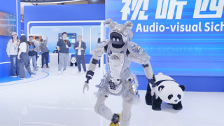 久久亚洲精品无码